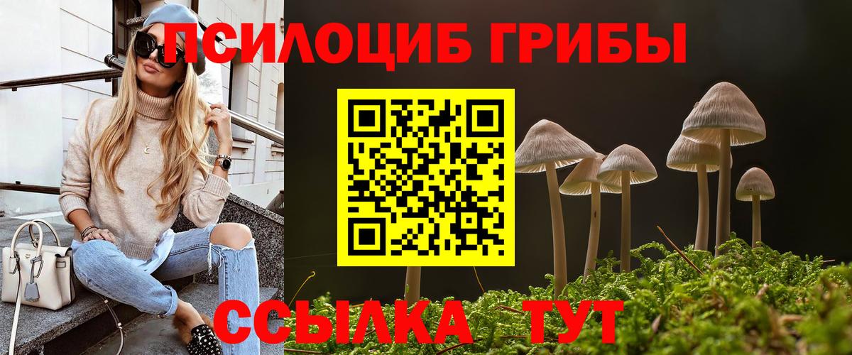 Красногорск  Псилоцибиновые грибы прущие грибы  Вход с VPN 